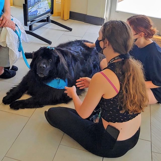 Hapi Members volunteering